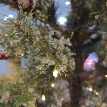 Nail Bar & Spa - Christmas Tree - Nail Salons Near Me - Austin, Texas