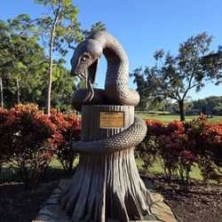 Copperhead At innisbrook