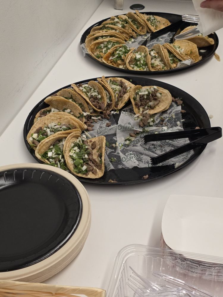 Cilantro Taco Grill