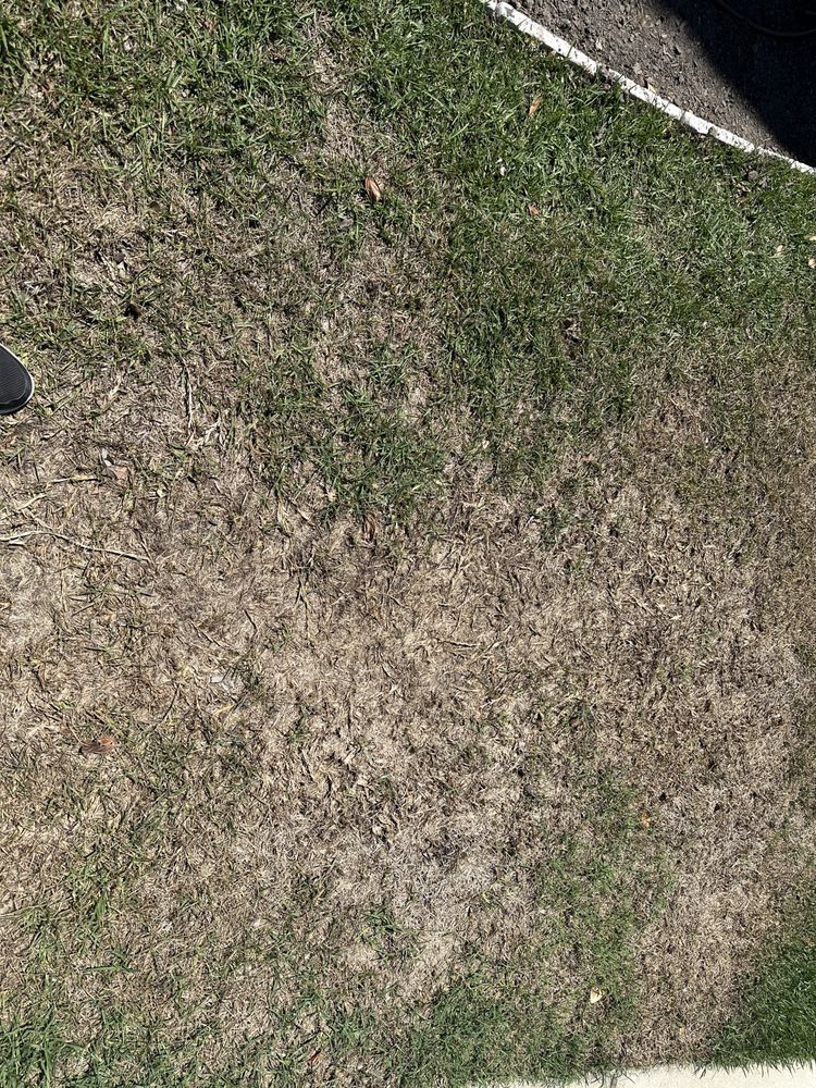 Gro-masters - tree service in Savannah, GA