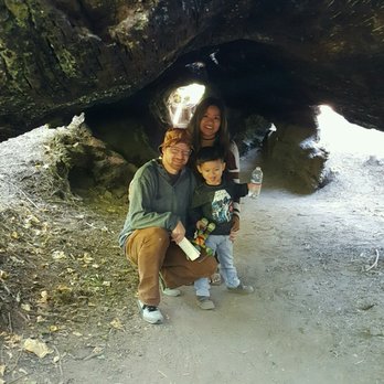 Calaveras Big Trees State Park - family portrait - Parks Near Me - Arnold, California