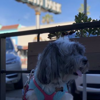 Holsem Coffee - Coffee & Tea Near Me - San Diego, California Holsem Coffee - Coffee & Tea Near Me - San Diego, California