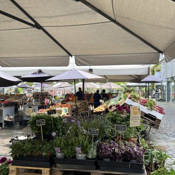 TorvehallerneKBH - Flowers - Farmers Market Near Me - København K, 84 TorvehallerneKBH - Flowers - Farmers Market Near Me - København K, 84