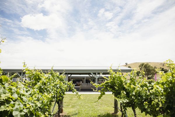 Four Winds Vineyard by null