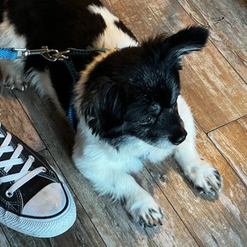 FarmHand Kchn - Dog Friendly - Breakfast & Brunch Near Me - St. Augustine, Florida