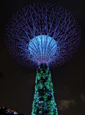 Gardens by the Bay by null