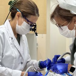 Dental Clarity