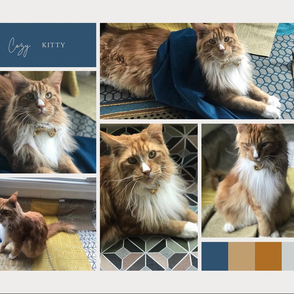 ANIMAL HOUSE MOBILE PET GROOMING Updated September 2024 14 Photos