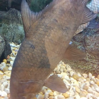 Cabela's - Outdoor Gear Near Me - Fort Worth, Texas