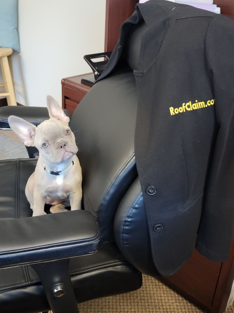 Slide of RoofClaim.com