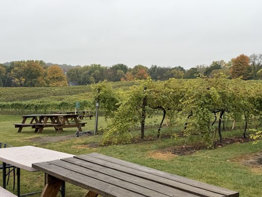 Schram Vineyards Winery & Brewery by null