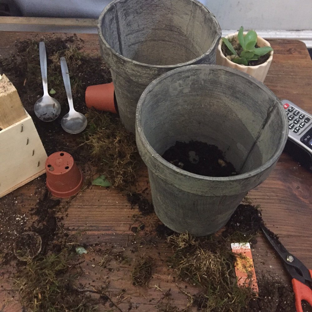 Dublin Design Night - The Garden supplies for building your own terrarium! Messy, but so fun! - Yelp Events Near Me Dublin Design Night - The Garden supplies for building your own terrarium! Messy, but so fun! - Yelp Events Near Me