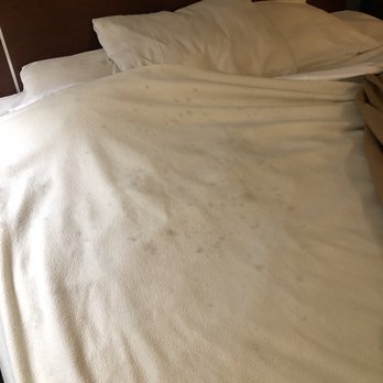 Econo Lodge - Hotels Near Me - Eugene, Oregon