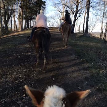 Five Oaks Riding Stables - Horseback Riding Near Me - Sevierville, Tennessee