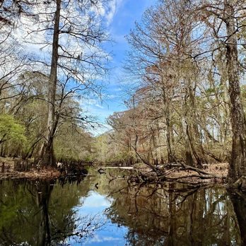 Ashley River Park - On the Ashley river - Dog Parks Near Me - Summerville, South Carolina