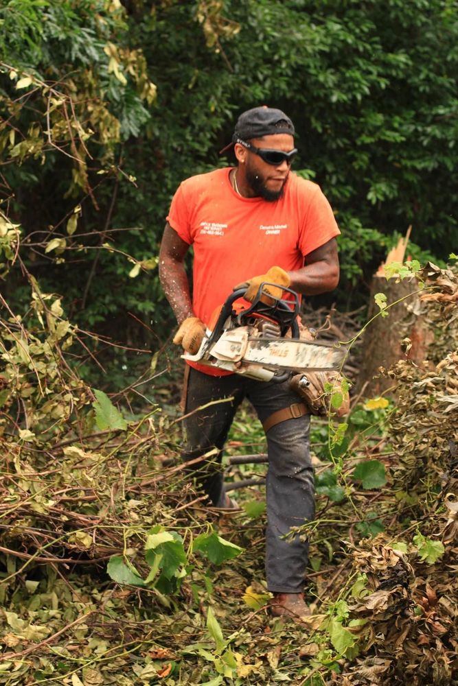 Knock'Em Down Tree Service - tree service in Huntsville, AL