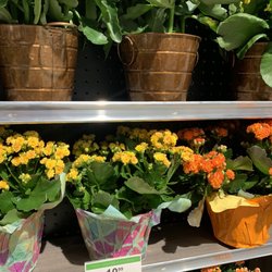 Publix Super Market - Flowers