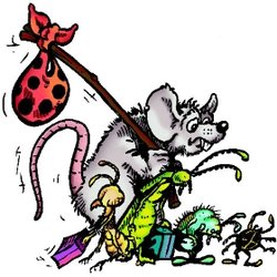 Fiore Pest Control - Send your pests packing!