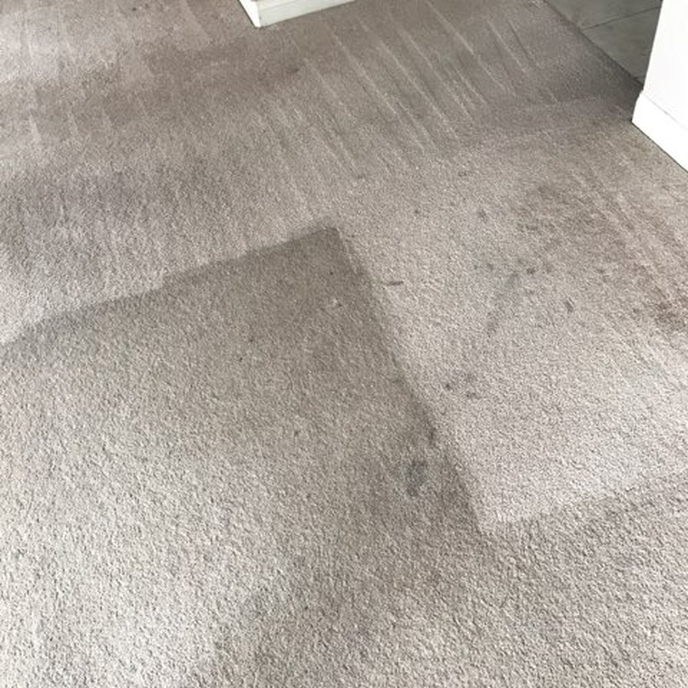 Cisco Steam Clean - One call to James at cisco steam clean was all it took for my Very dirty and pretty worn carpets to look good - Carpet Cleaning Near Me - San Tan Valley, Arizona Cisco Steam Clean - One call to James at cisco steam clean was all it took for my Very dirty and pretty worn carpets to look good - Carpet Cleaning Near Me - San Tan Valley, Arizona