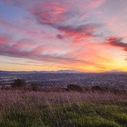 Trailview Park