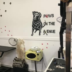 Paws On The Avenue