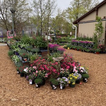 Black Forest Nursery Garden Center Nurseries Gardening Black Forest Nursery Garden Center