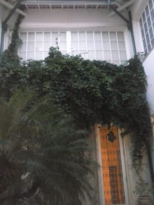 Carlos Costa Pinto Museum by null