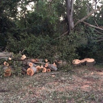 Good Samaritan Services - a pile of cut down trees - Landscaping Near Me - North Augusta, South Carolina
