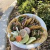 Yuyis Tacos gift card