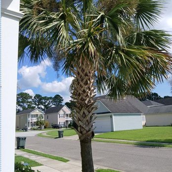 DC Landscaping - Before - Lawn Services Near Me