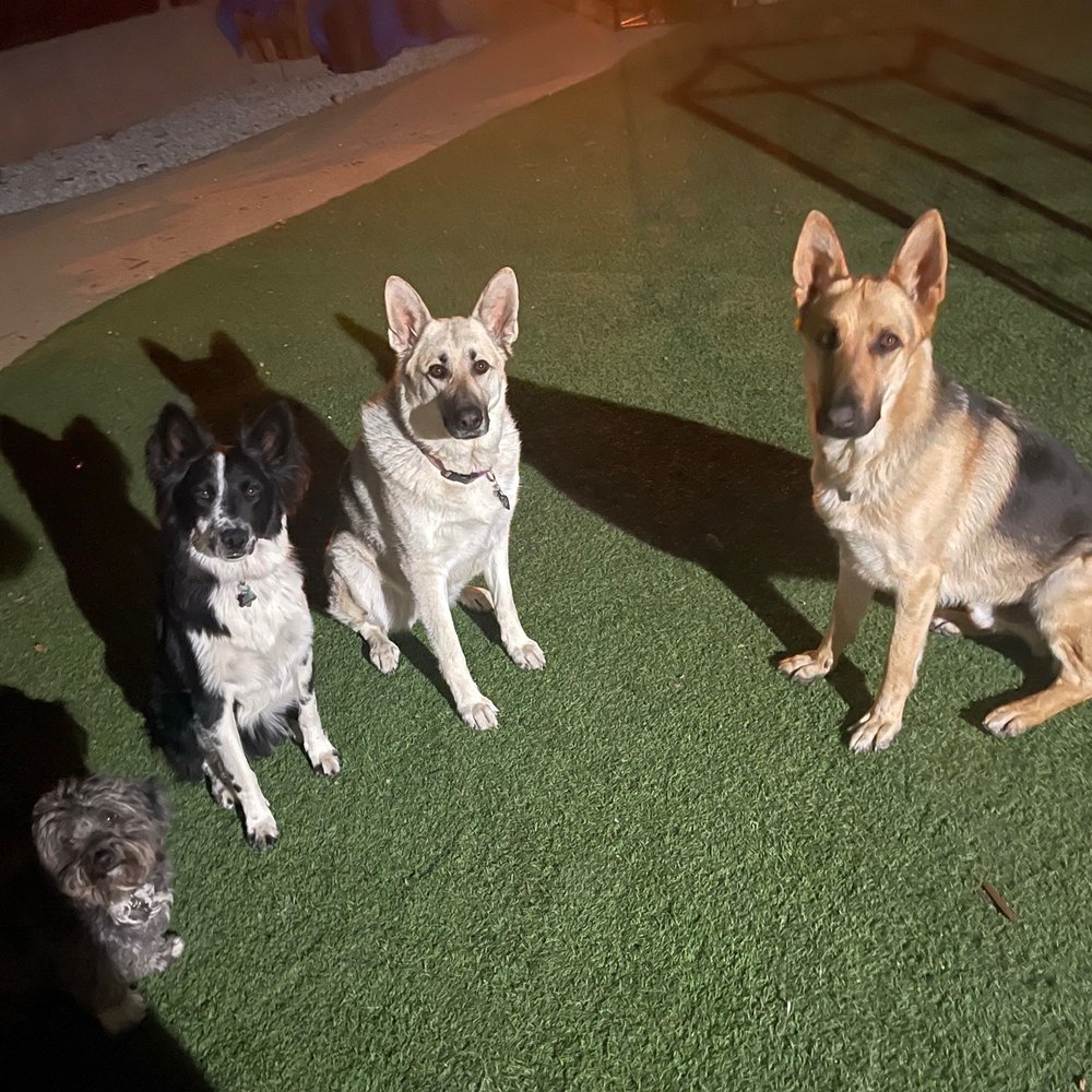 Paws At Main - Riverside - Dogs - Pet Groomers Near Me - Riverside, California Paws At Main - Riverside - Dogs - Pet Groomers Near Me - Riverside, California