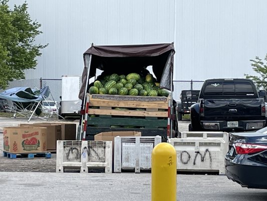 Jacksonville Farmers Market by null