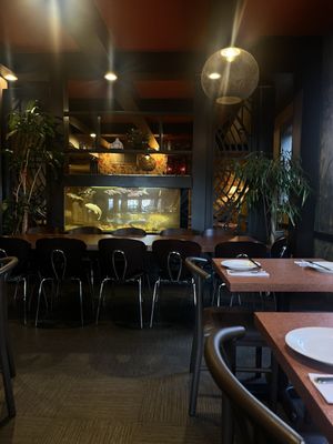 Rainbow Chinese Restaurant & Bar by null