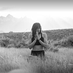 Arnica Acupuncture & Wellness