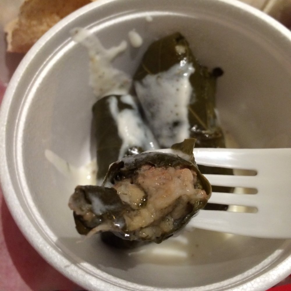 Best Falafel - Yummy dolma's - Middle Eastern Near Me - Vancouver, British Columbia