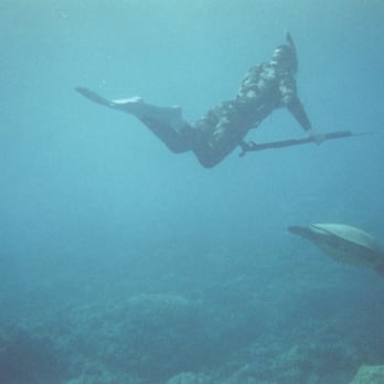 South Maui Spearfishing - Fishing Near Me South Maui Spearfishing - Fishing Near Me