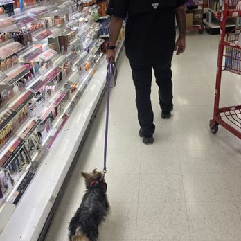 First Class Boarding &Training - Pet Boarding Near Me - Diamond Bar, California