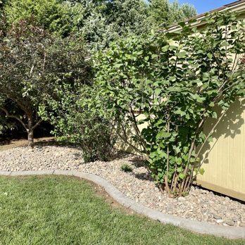 Bossy Oak Landscaping - Back corner of house - Landscaping Near Me Bossy Oak Landscaping - Back corner of house - Landscaping Near Me