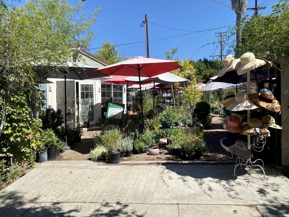 BARRISTERS NURSERY & GARDEN CENTER Updated August 2024 17 Reviews