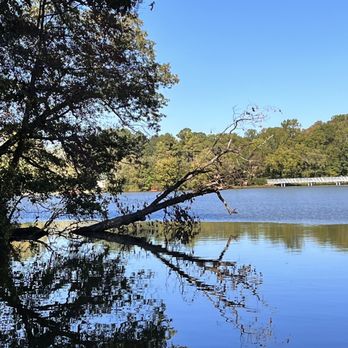 KILLENS POND STATE PARK - Updated January 2026 - 41 Photos & 36 Reviews ...