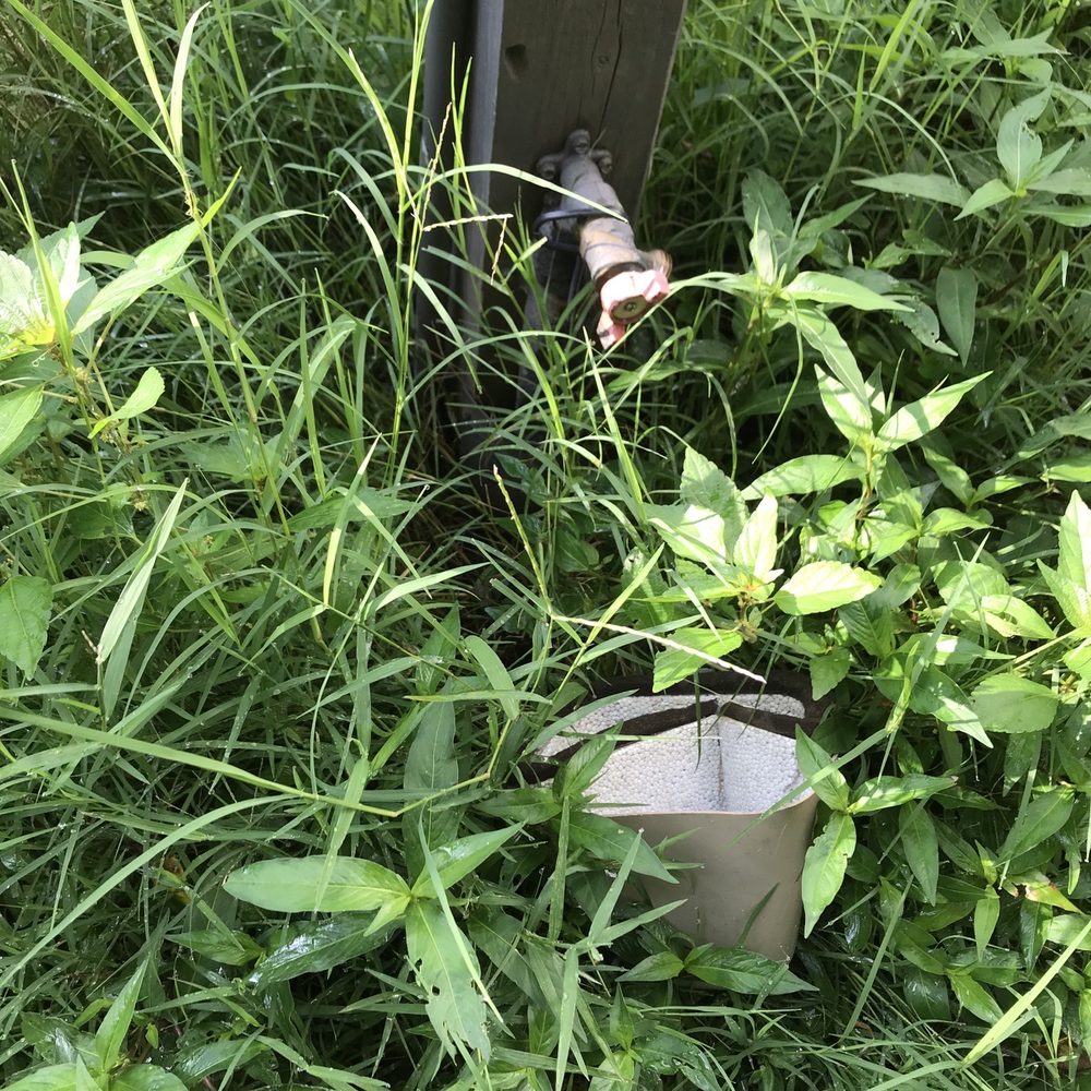 Hose valve leaked and weeds everywhere Hose valve leaked and weeds everywhere