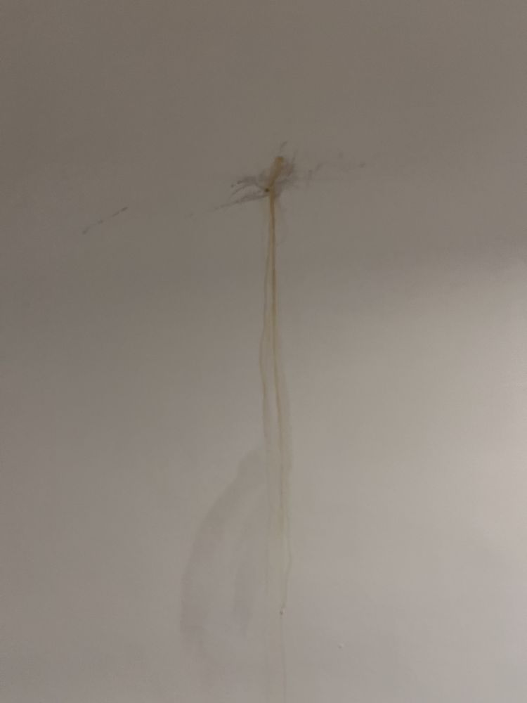 Slide of Boston Standard Company