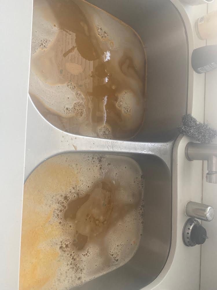 THE ENCORE APARTMENTS Updated August 2024 712 E Walnut St, Pasadena