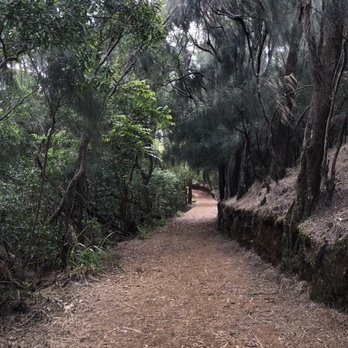Kolekole Pass Road - Local Flavor Near Me