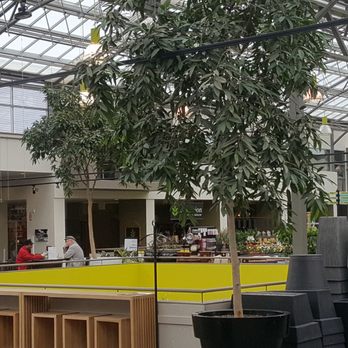 The Enjoy Centre - Nurseries & Gardening Near Me - St Albert, Alberta The Enjoy Centre - Nurseries & Gardening Near Me - St Albert, Alberta