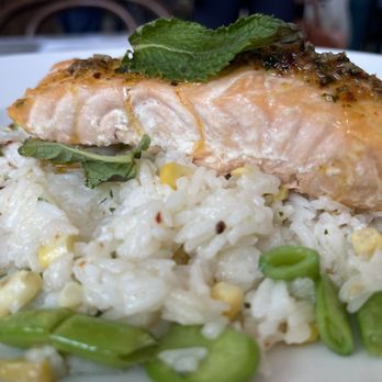 Tatte Bakery & Cafe | Dupont Circle - Roasted Salmon and vegetable rice bowl - Cafes Near Me - Washington, DC, District of Columbia