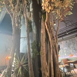 BLIND RABBIT KITCHEN - Updated December 2025 - 369 Photos & 289 Reviews ...