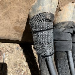Pacific Coast Pest Solutions - Repair and closure of entry point
