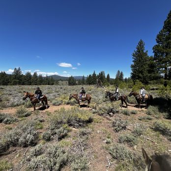 Piping Rock Horses - Great scenery while riding! - Horseback Riding Near Me - Truckee, California Piping Rock Horses - Great scenery while riding! - Horseback Riding Near Me - Truckee, California