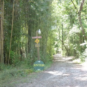 River Campground - Lovers Lane/Tenting Area - Campgrounds Near Me - Lakemont, Georgia